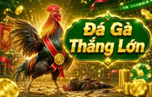 Ảnh giao diện Đá Gà magsnta giữ nguyên đường dẫn gốc
